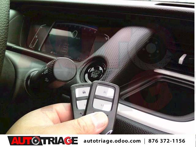 BX467300_20.jpg