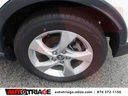 TOYOTA C-HR 2019