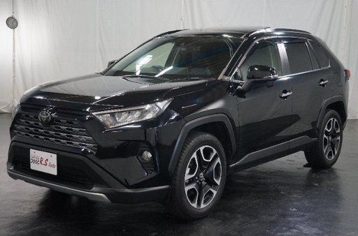 TOYOTA RAV4 - 2019